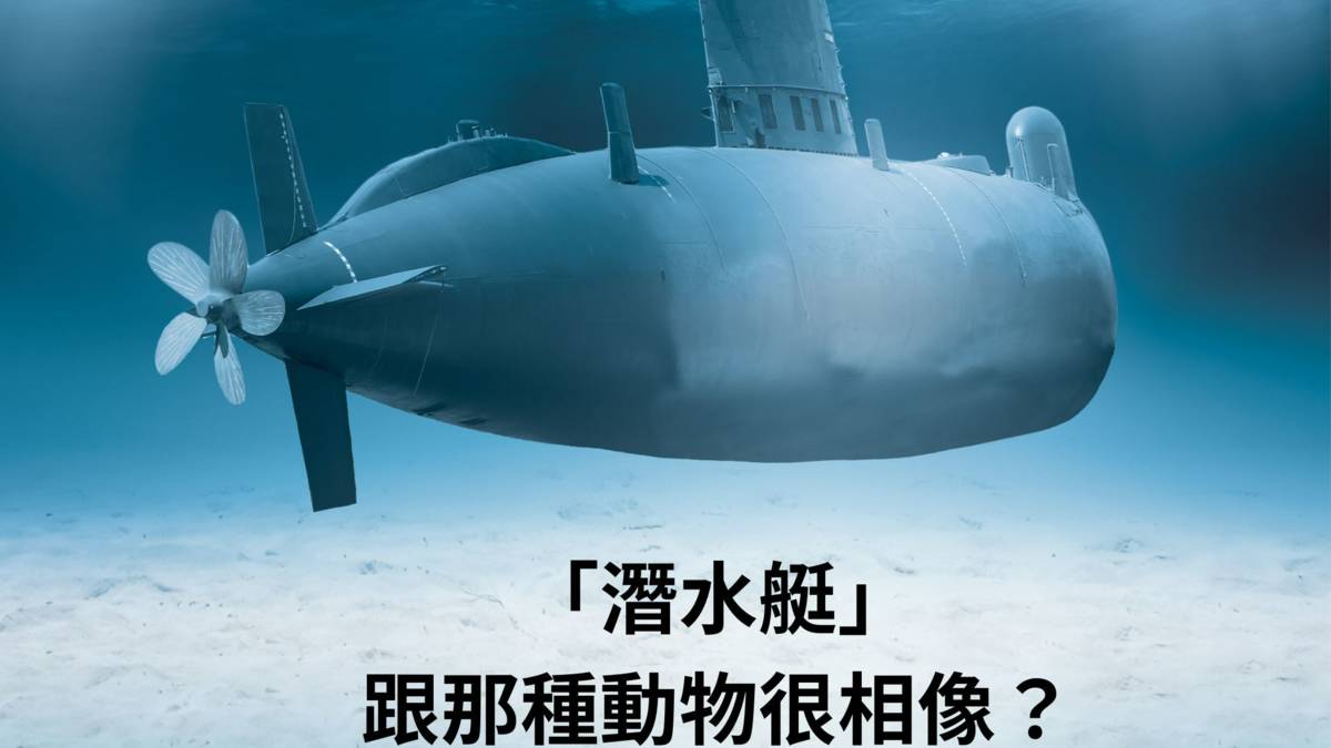 潛水艇