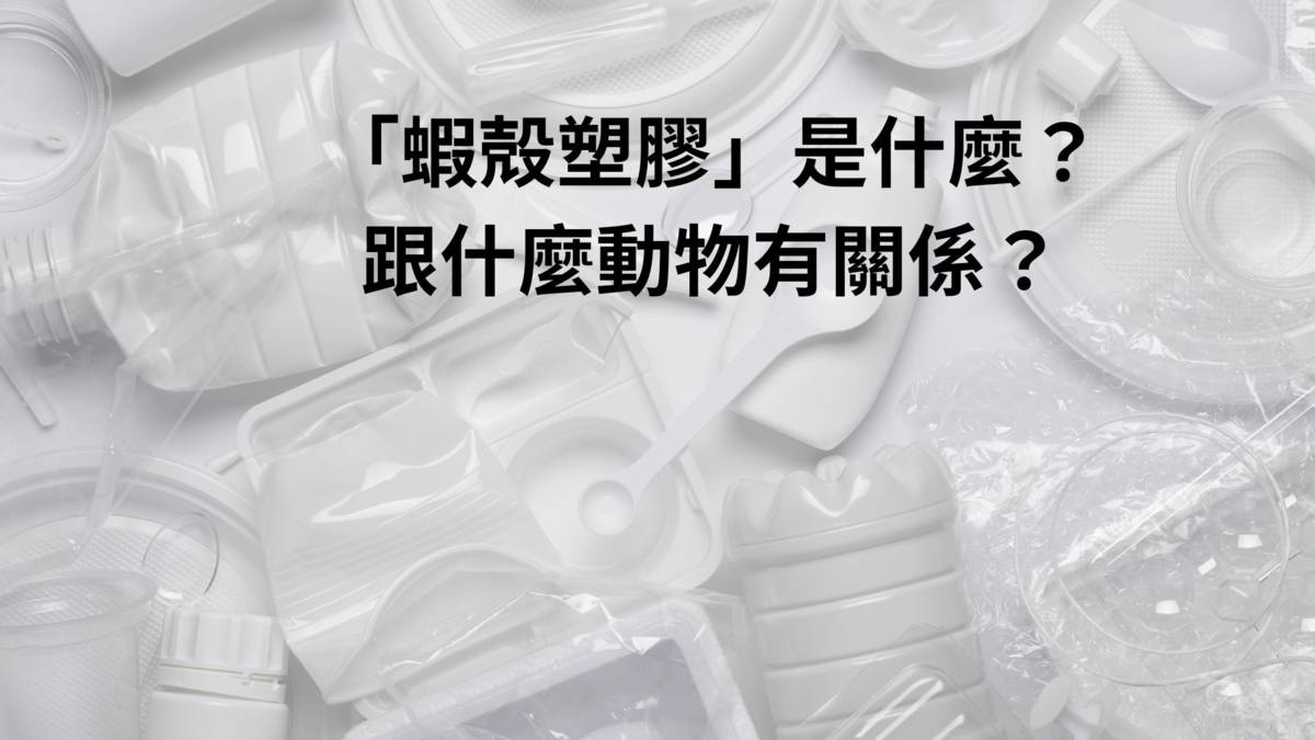 塑膠