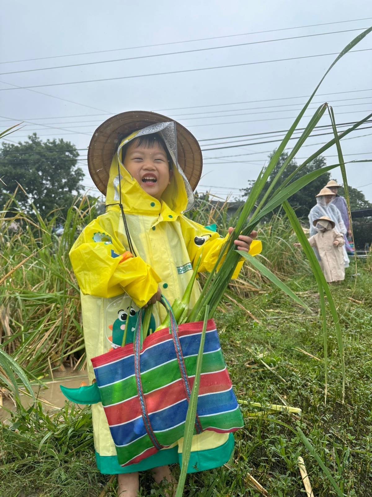 牛埔有機農場 開心小農夫