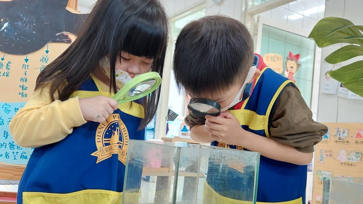 私立迪士尼幼兒園