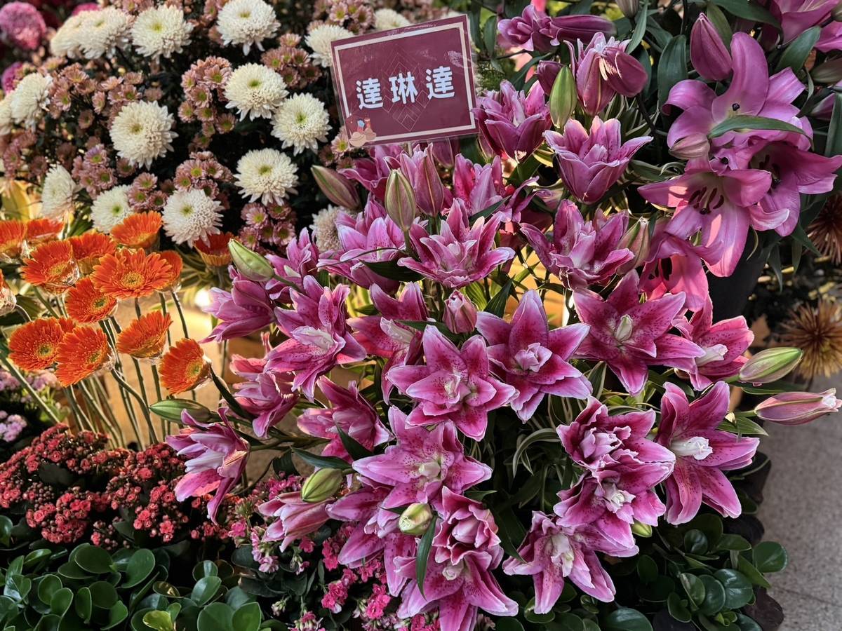 臺北花市A館南廣場提供各式各色的百合花品種