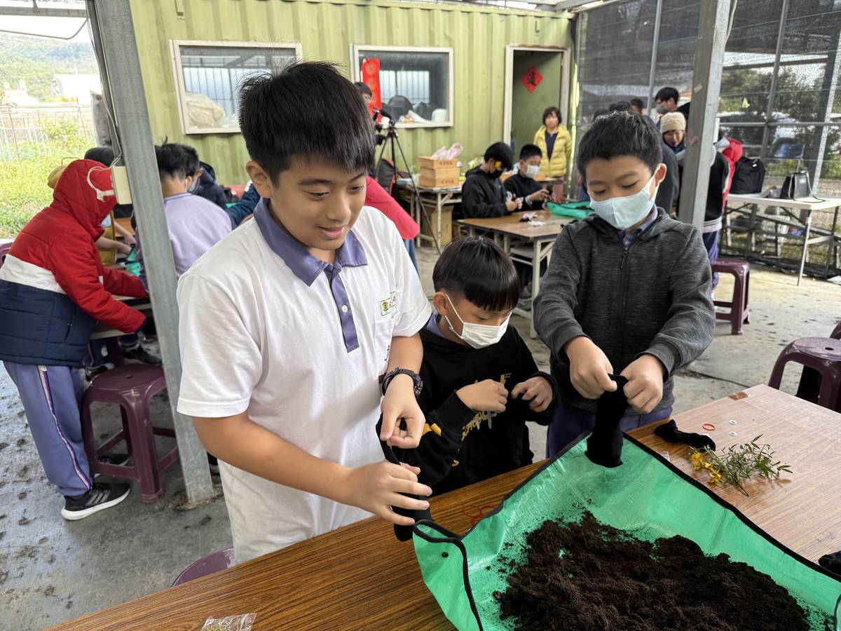 學生在草頭寶寶製作課程中，學生使用襪子作為栽種介質，填入泥土及種子，手工製作可愛的植草花器