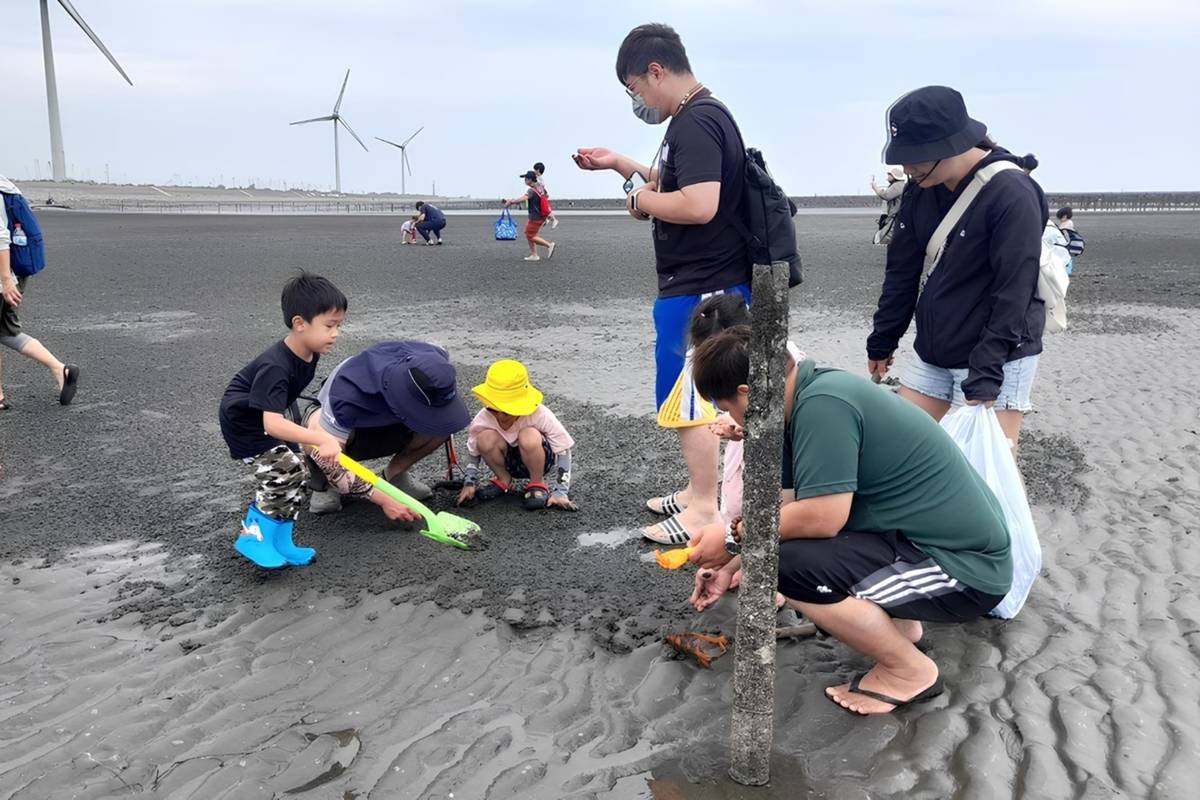 認識潮間帶的豐富生態、觀察潮間帶生物覓食、活動過程(彰化縣王功蚵藝文化協會提供)