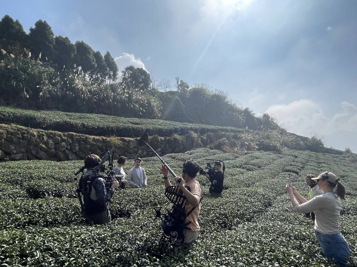 阿里山茶園體驗