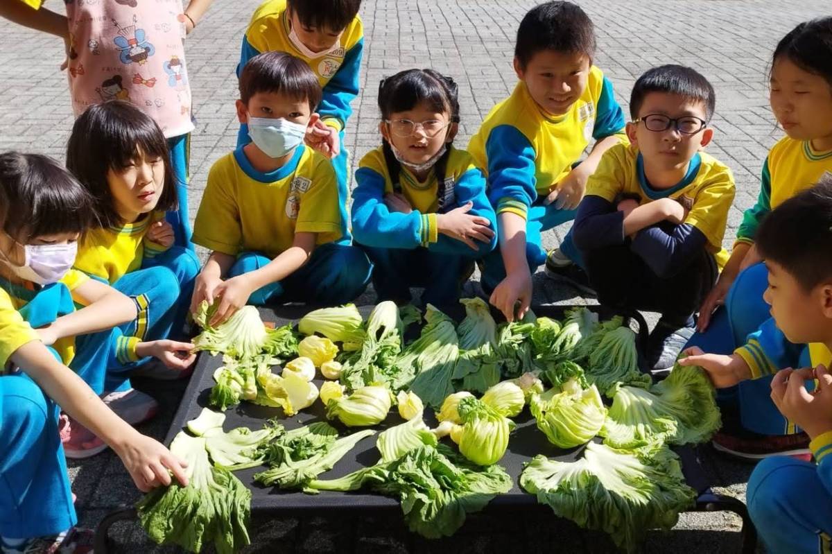 龍岡國小學生透過親手製作客家鹹菜，體會客家人的智慧與飲食文化之美