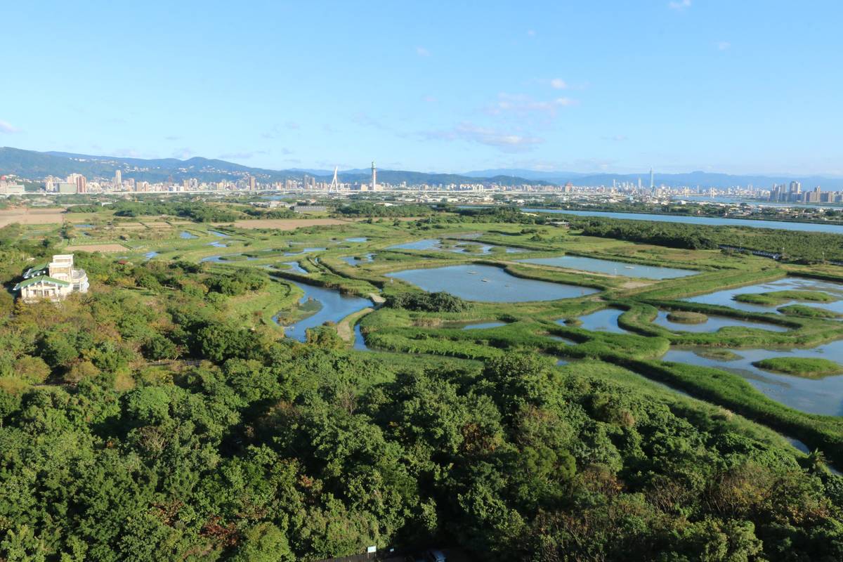 關渡自然公園管理處舉辦「候鳥氣象站」、「探索心濕地秘境」導覽活動，帶領民眾親近自然