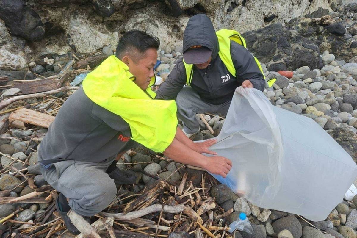 春節後一週，蘭嶼鄉清潔人員在環島公路執行清掃作業，共清理垃圾總重量248公斤，相較去年同期的434.5公斤，減少186.5公斤，減幅達43%。