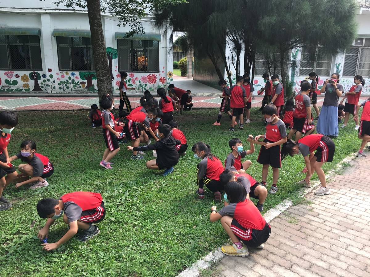 屏東縣四林國民小學學生在校園中找尋野草的蹤跡