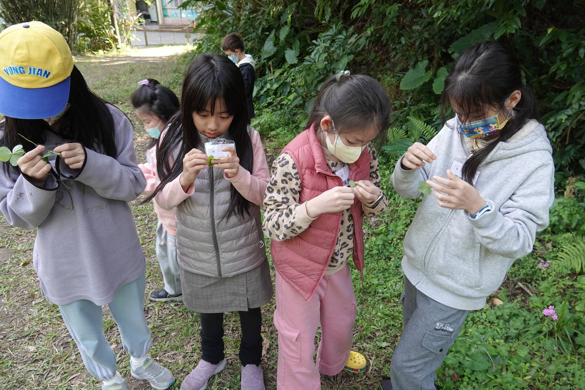 學員前往馬明潭溼地進行探索