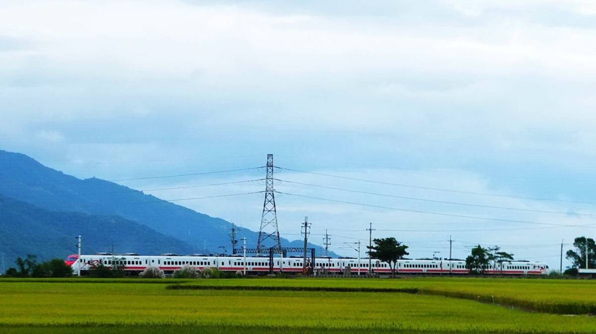 普悠瑪號馳騁在池上的田園中