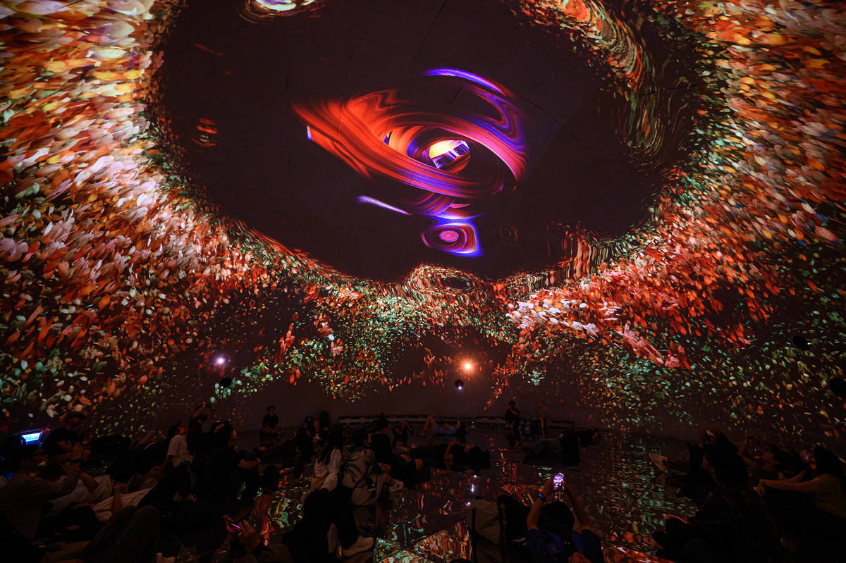 C-LAB FVL DOME@2025台積心築藝術季展出作品《第二自然》。圖／C-LAB提供、王世邦攝影。