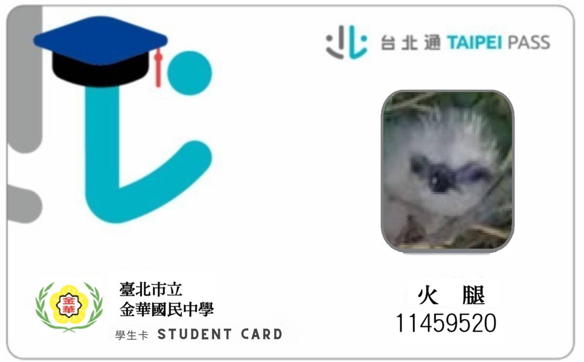 金華國中為鳳頭寶寶「火腿」製作學生證