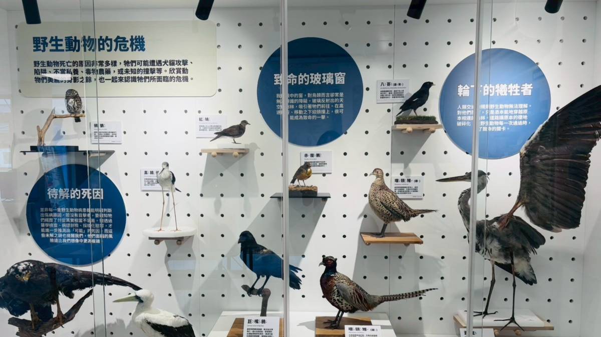野灣保育探索館