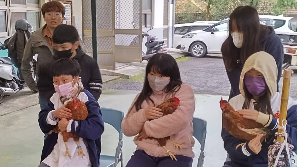 和平國中學生輕撫雞，跟雞說我愛你