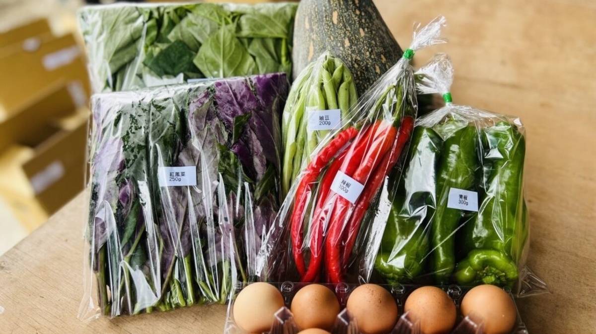 「原鄉蔬菜箱」產量從最初的1個月40箱，到2025年過年期間的最高紀錄920箱，不僅幫助了18戶部落家庭提升經濟收入、改善生活，更讓居民們找回對土地的認同感，凝聚部落向心力。