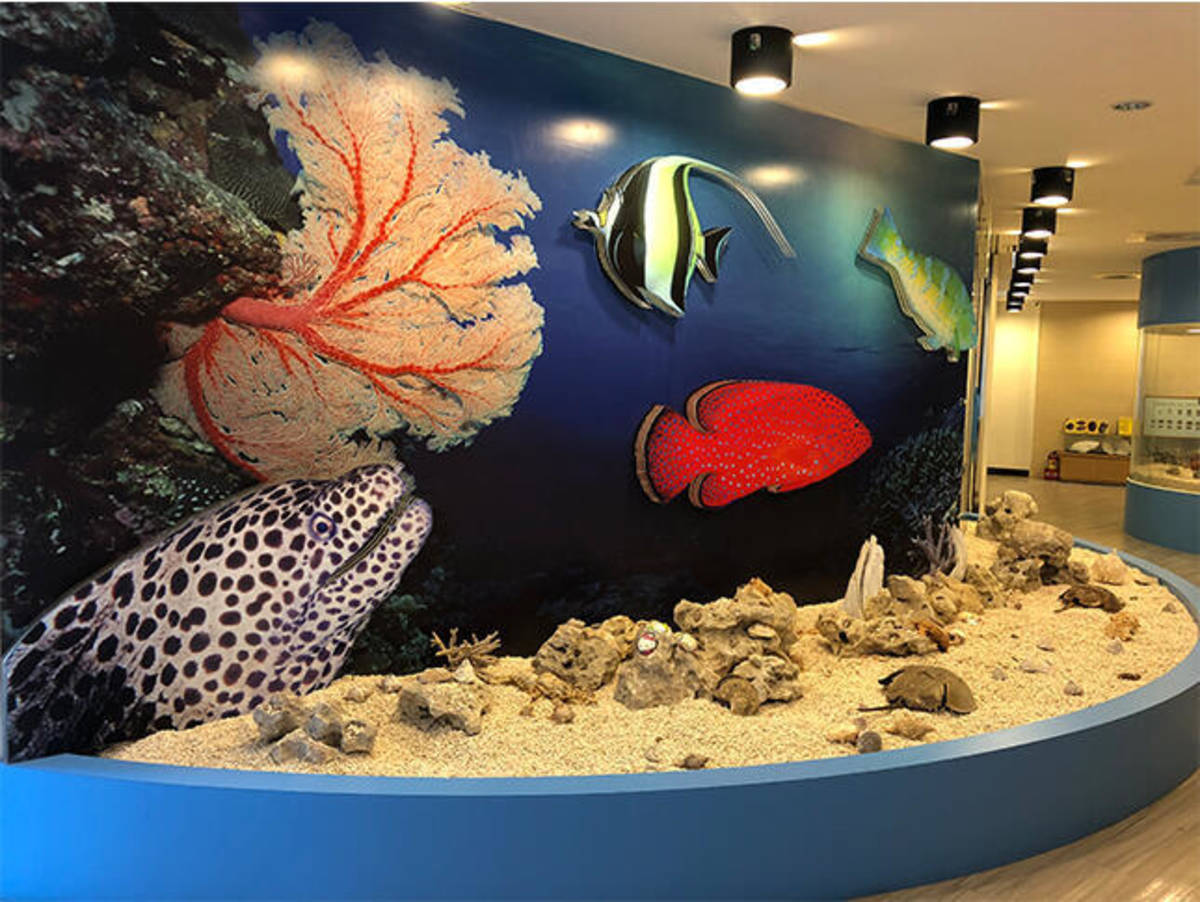 新北市海洋資源復育園區