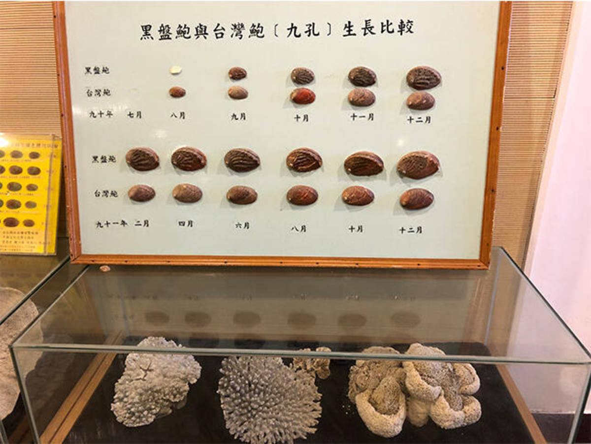 新北市海洋資源復育園區