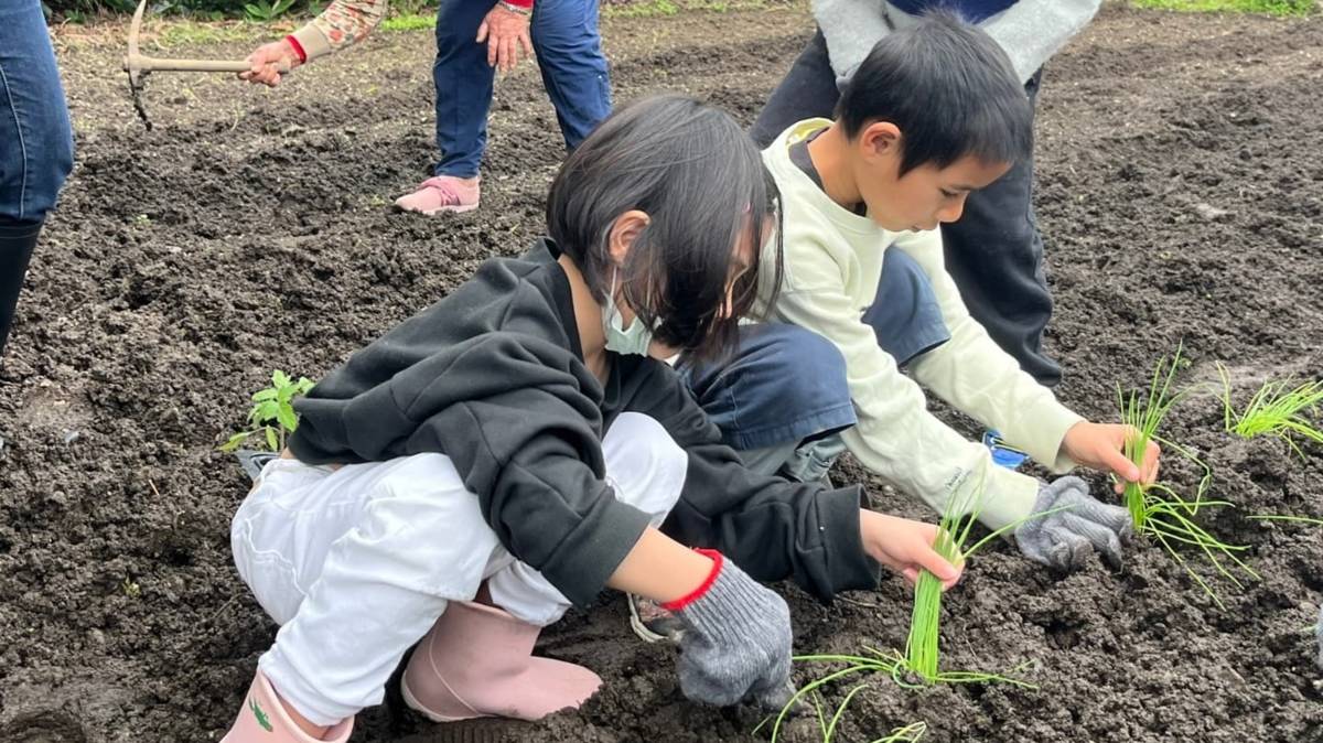 璋原國小食農教育-野菜課程