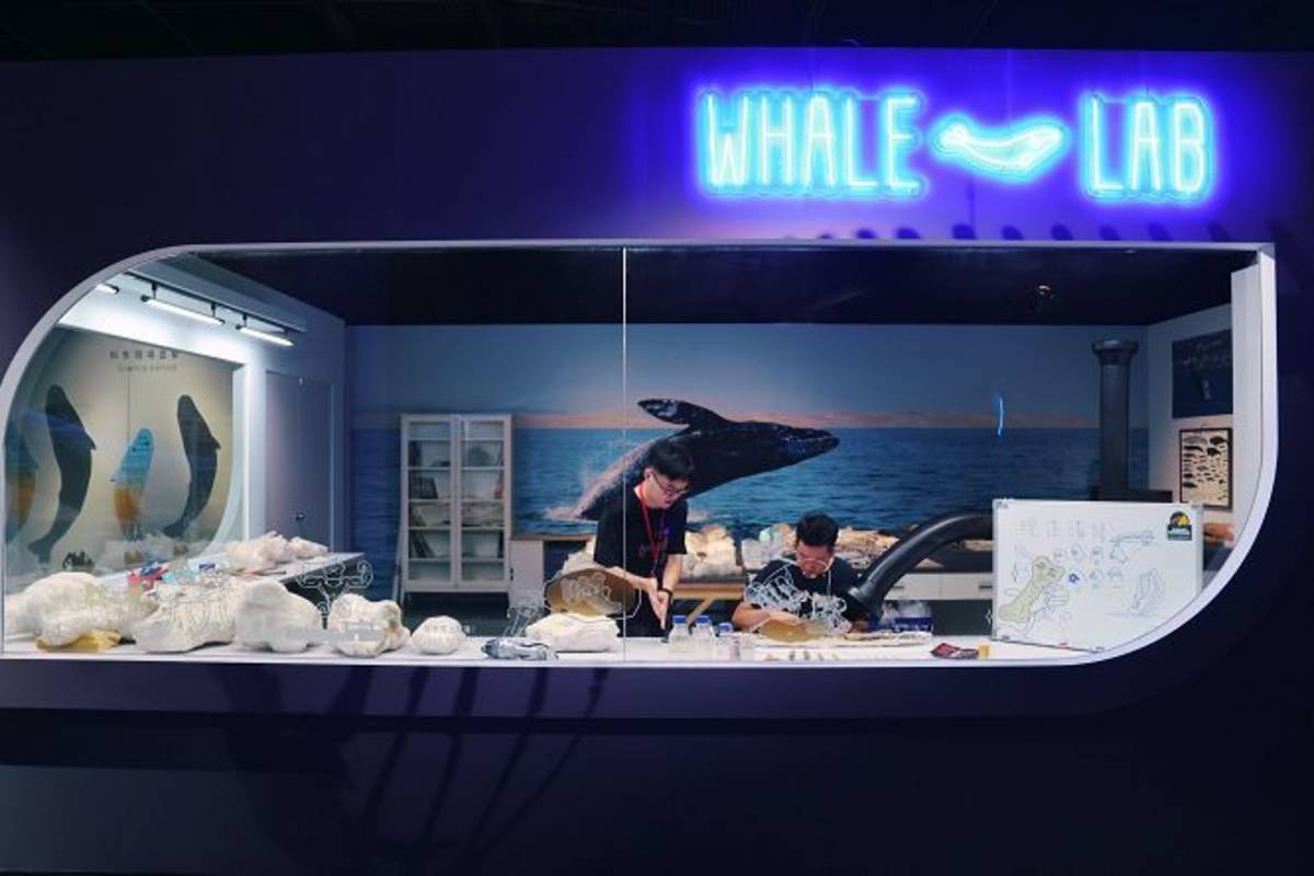 策展團隊特別在展場內打造一間化石清修展演室，展期間安排專業清修師駐點，持續清理這具長達18公尺的鯨魚化石。照片提供／國立自然科學博物館