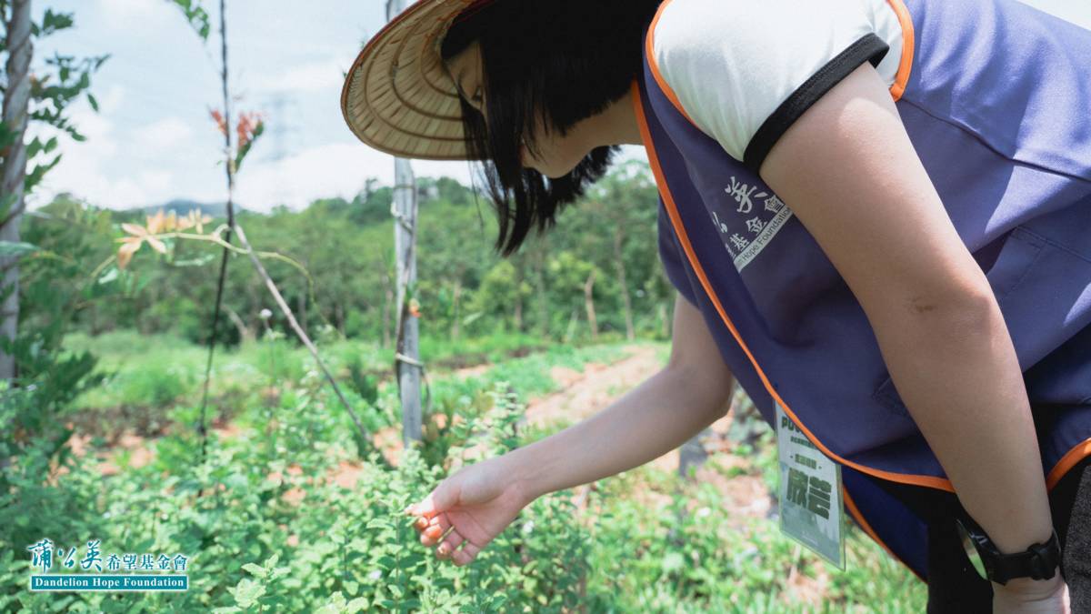 2025青年志工見習團/蒲公英希望基金會提供