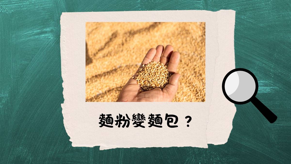 麵粉變麵包？