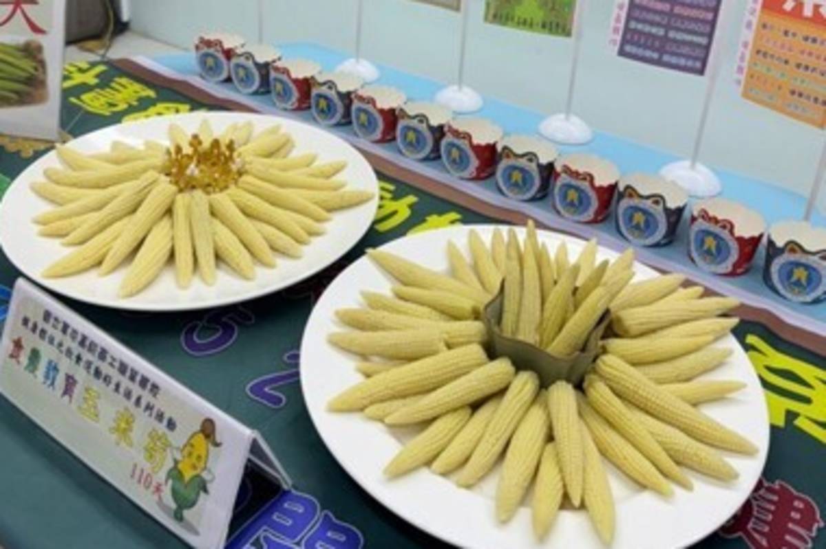 草屯商工參加食農教育攝影競賽勇奪多項大獎