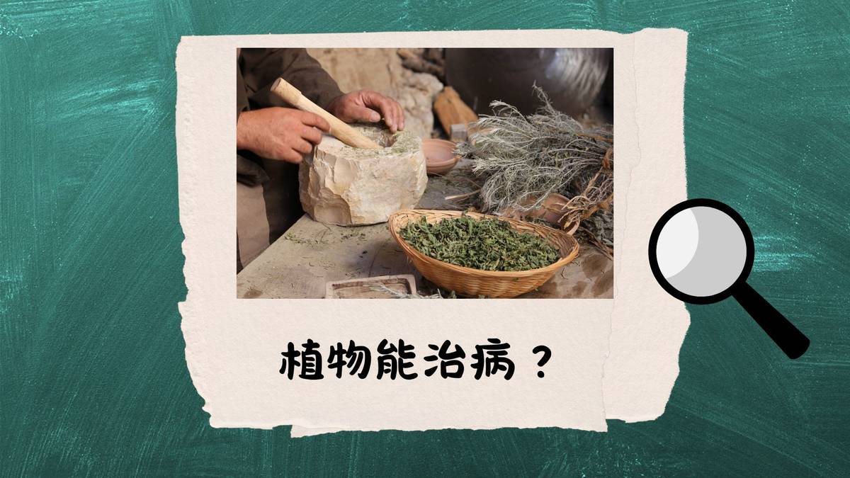 植物能治病？--古人生病怎麼辦？