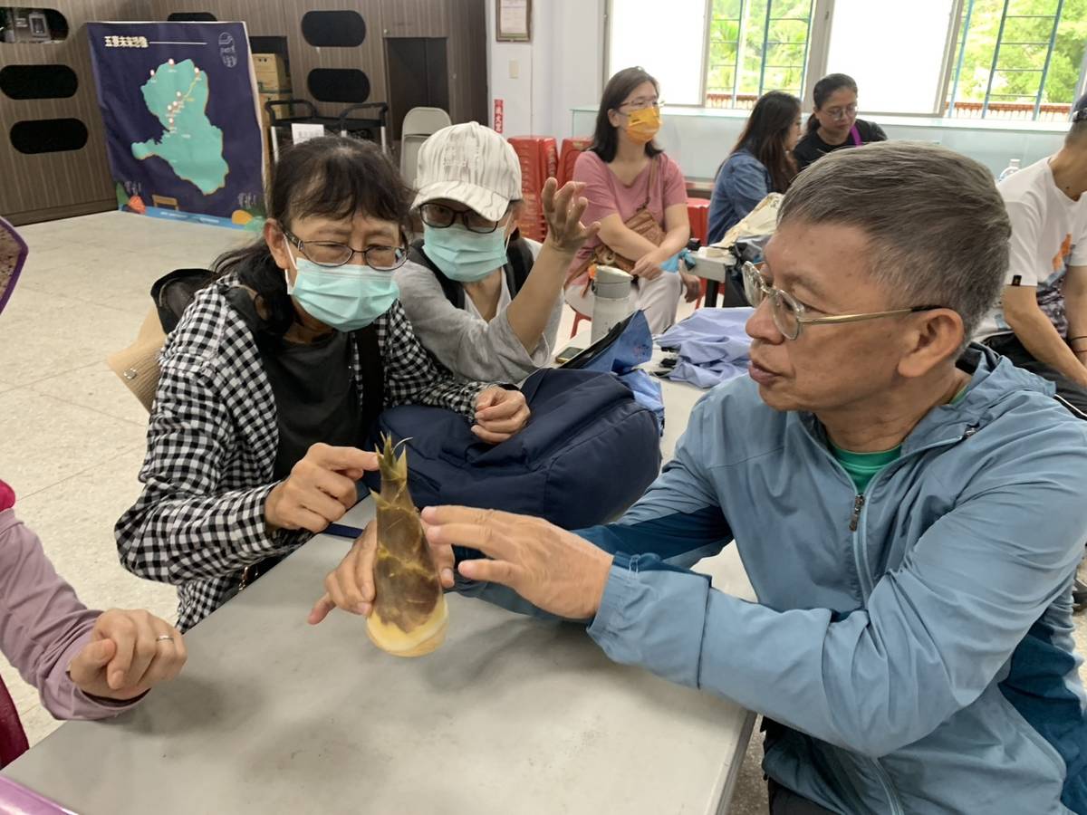 介紹綠竹筍