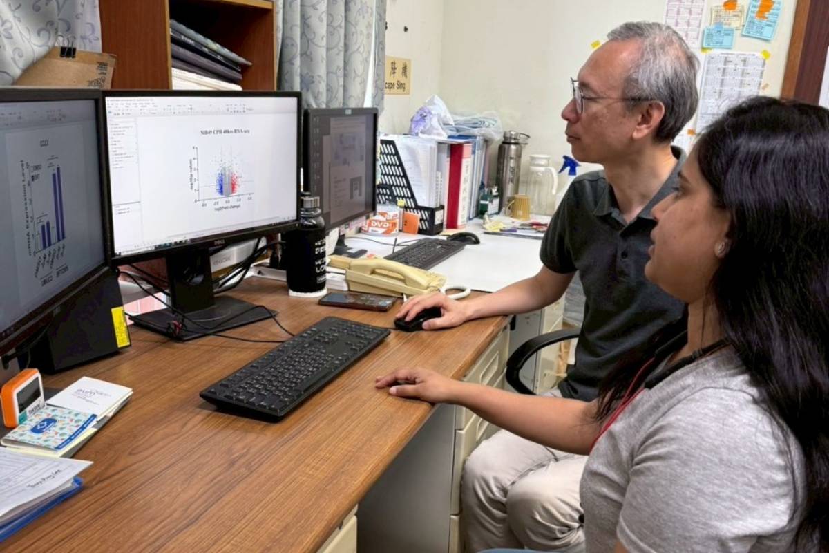 中正大學抗癌研究新發現 佩你安可抑制膀胱癌腫瘤生長