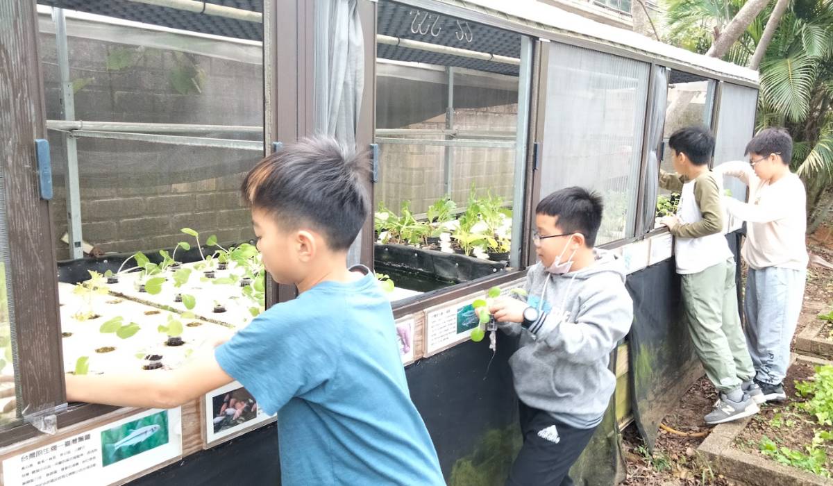 潛龍國小團隊訪查校內魚菜共生區