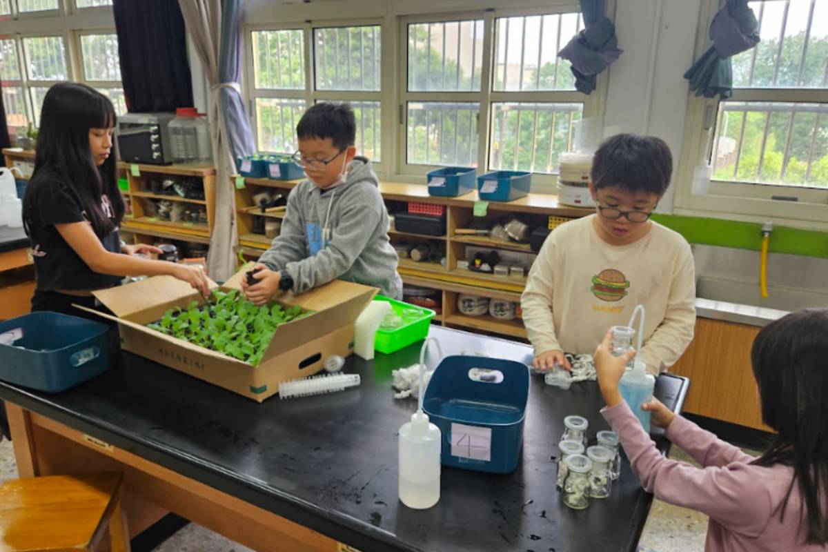 潛龍國小學生針對水耕植物進行研究