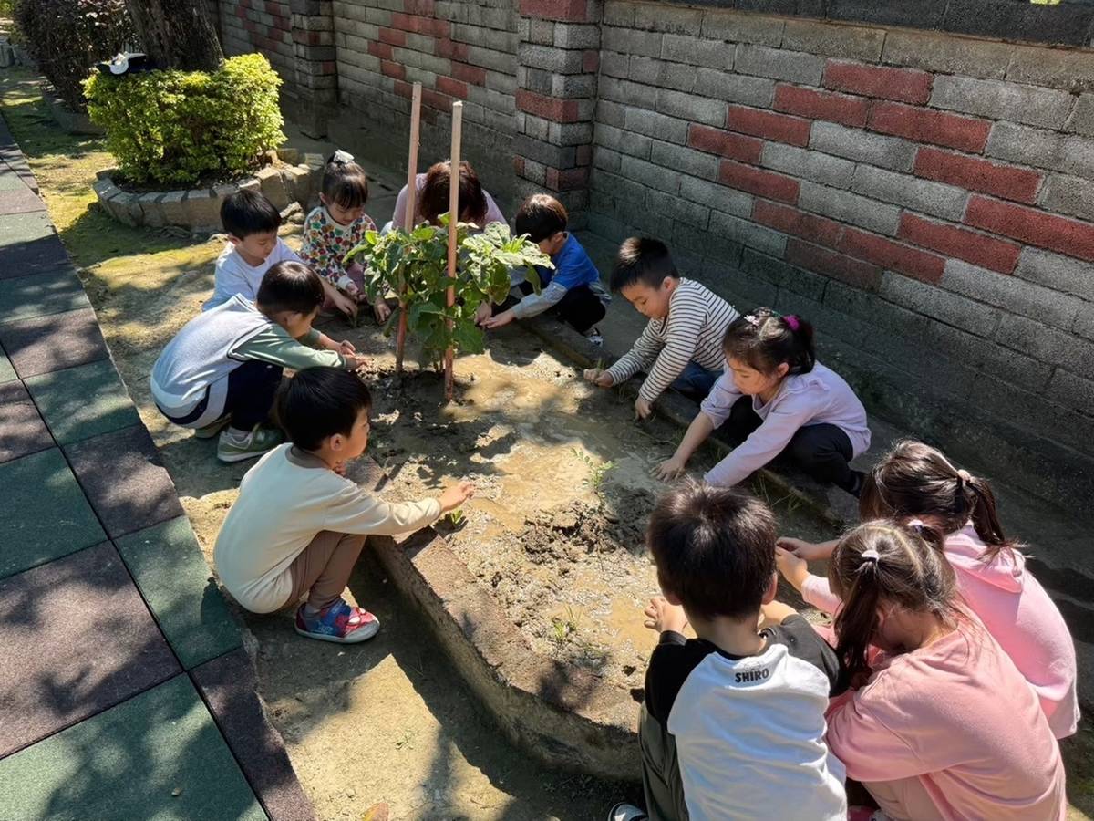 福興文開幼兒園 實地走進田園