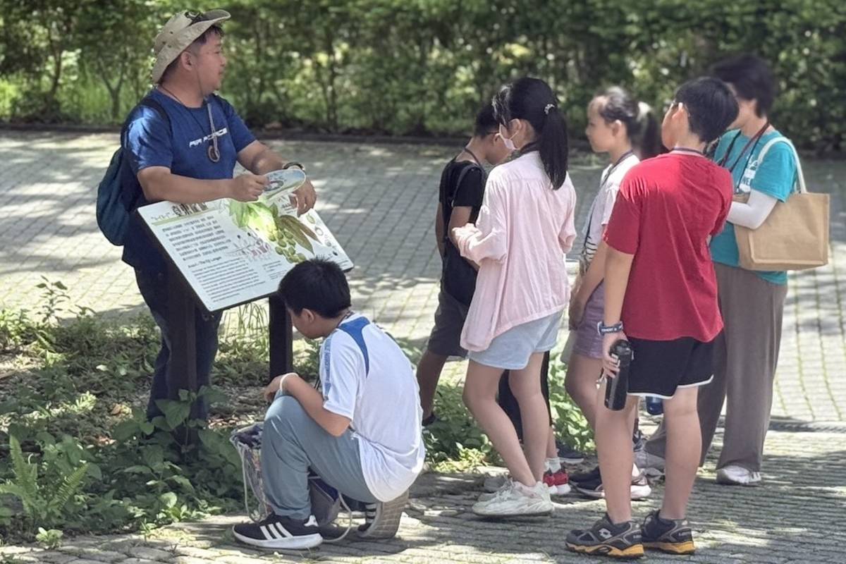 參加廣播營的小朋友到知本森林遊樂區了解各種動植物生態