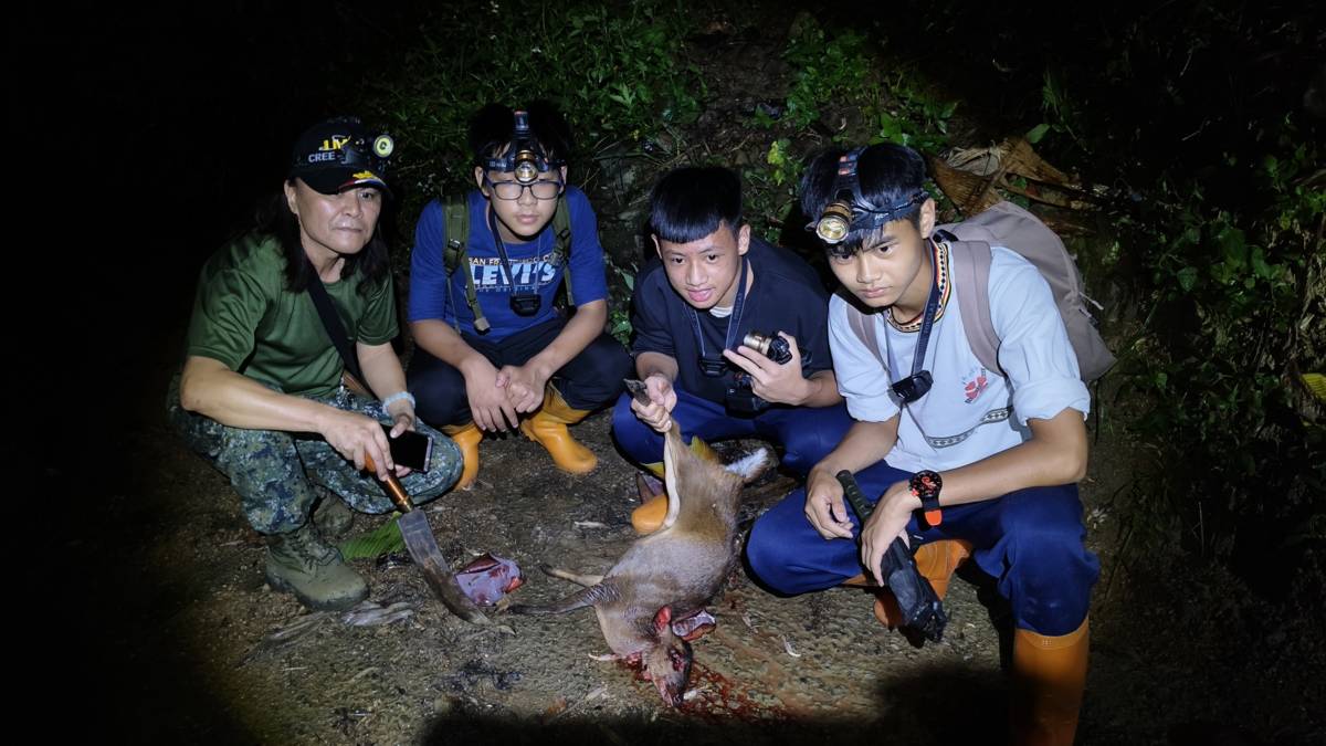 夜間狩獵捕獲山羌 