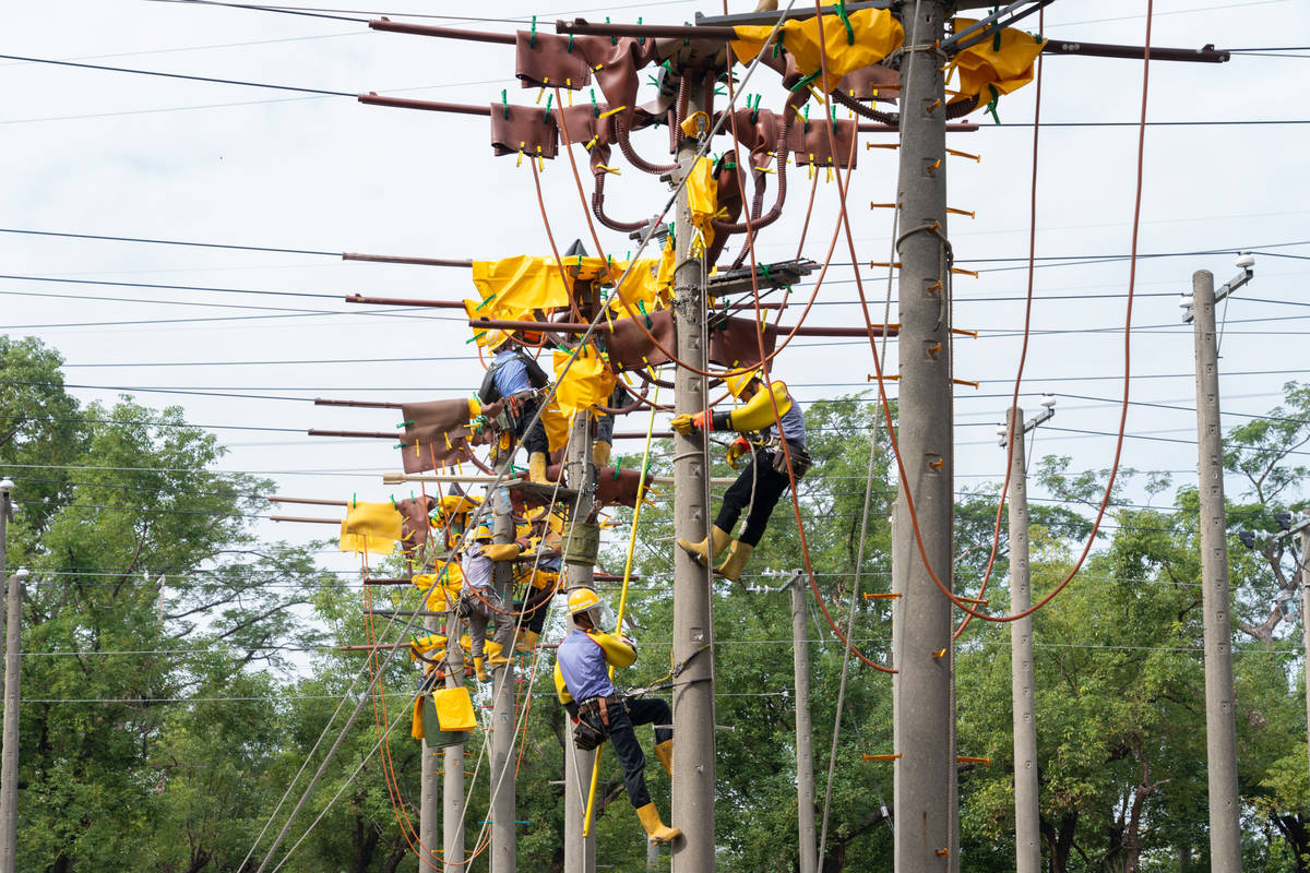 台電近年積極網羅電力領域新血，今年台電大學及研究所獎學金甄選將招考12類科共70個名額，9月1日開放網路報名。(台電提供)