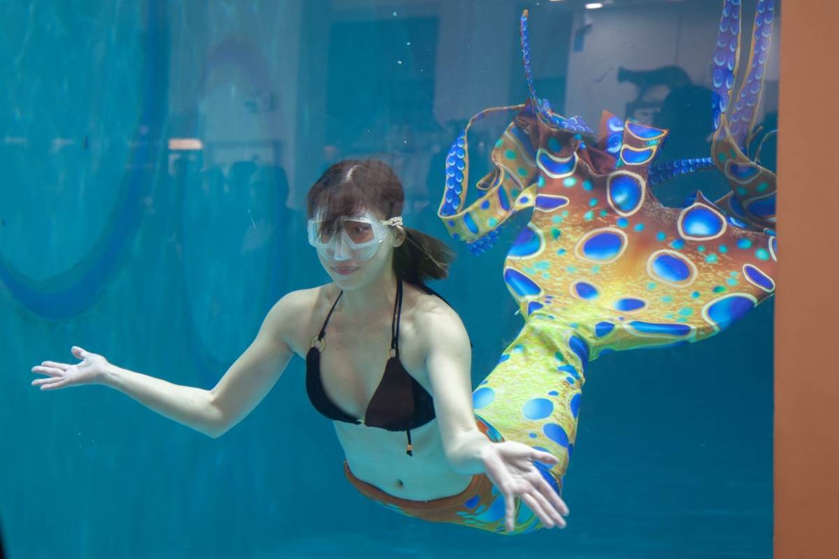 「奇幻水世界｜人魚藝術展演」將於海科館主題館1樓登場。