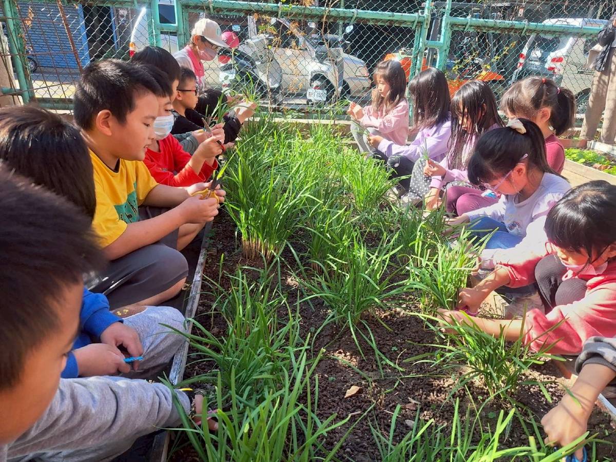 桃園市教育局鼓勵各校建置校園小農田，讓學生體驗農耕，深化食農教育