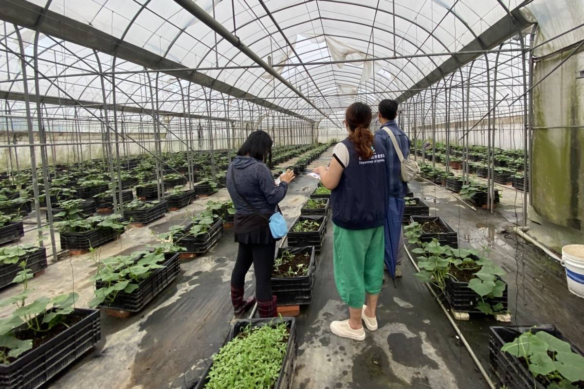 桃園市教育局與農業局合作推動每月至少一次將在地特色食材導入午餐