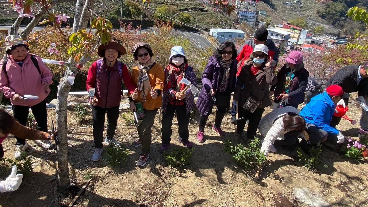 劉瑞卿老師帶領樂齡長輩到梨山種植櫻花樹