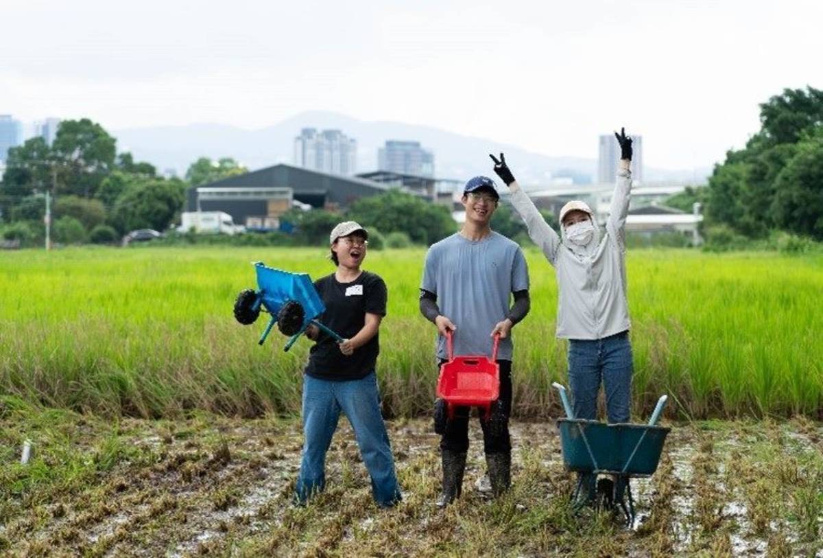 「2025關渡那麼田系列活動」即將在9月27日、28日登場，串連在地農友與社區店家