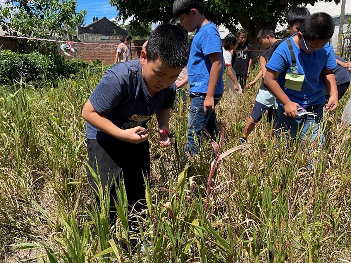 透過收穫體驗，學童在實際操作中學會尊重自然、珍惜食物。