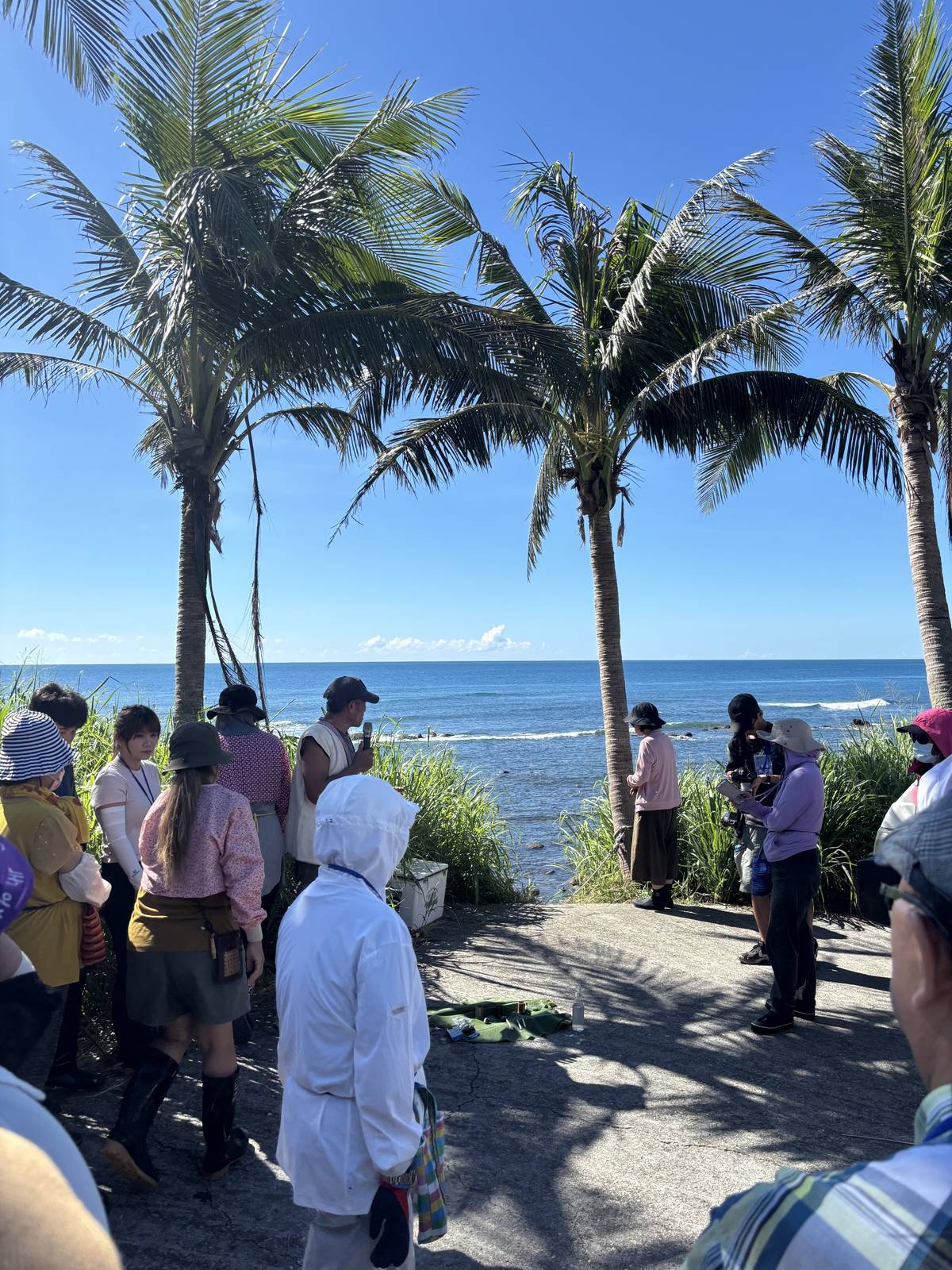 要到海岸邊採集海菜