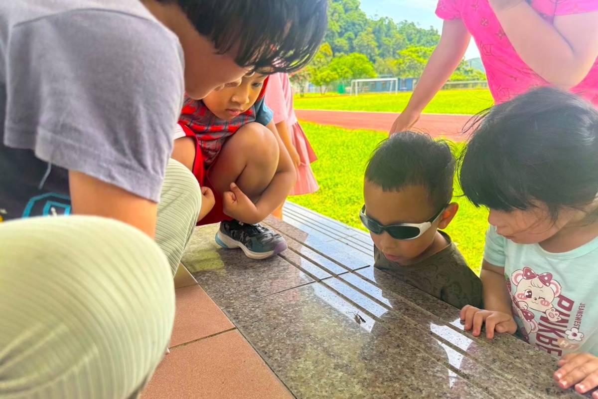 宜蘭縣大同鄉立幼兒園松羅分班孩子周遭大自然裡的「毛毛蟲」主動探索與觀察