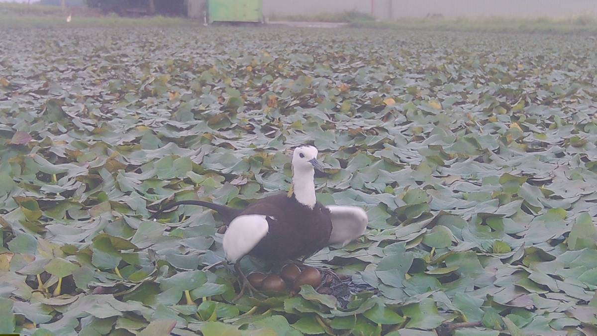 05260981 - 複製.jpg