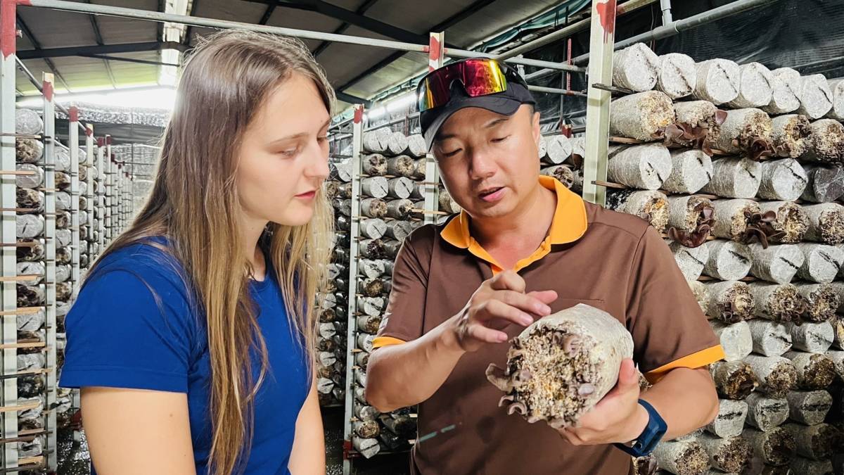 1 4B720F29-D105-4DD0-BA30-7233DDC845E1.jpg