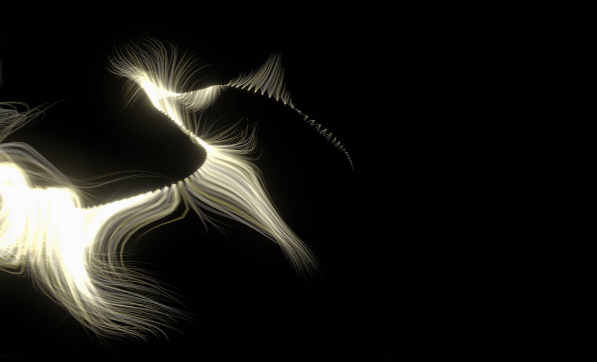 CHW_Lab《植物卷軸》（藝術團隊提供）