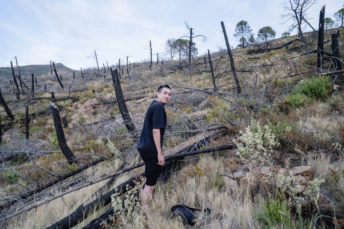 藝術家劉呈祥（劉呈祥提供）