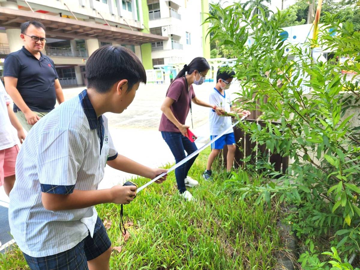 校園生態固碳調查
