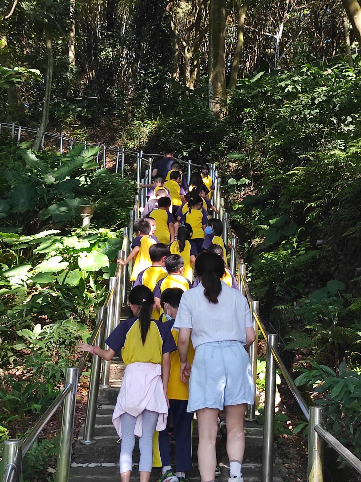 自強國小師生前往學校後山野放蛇