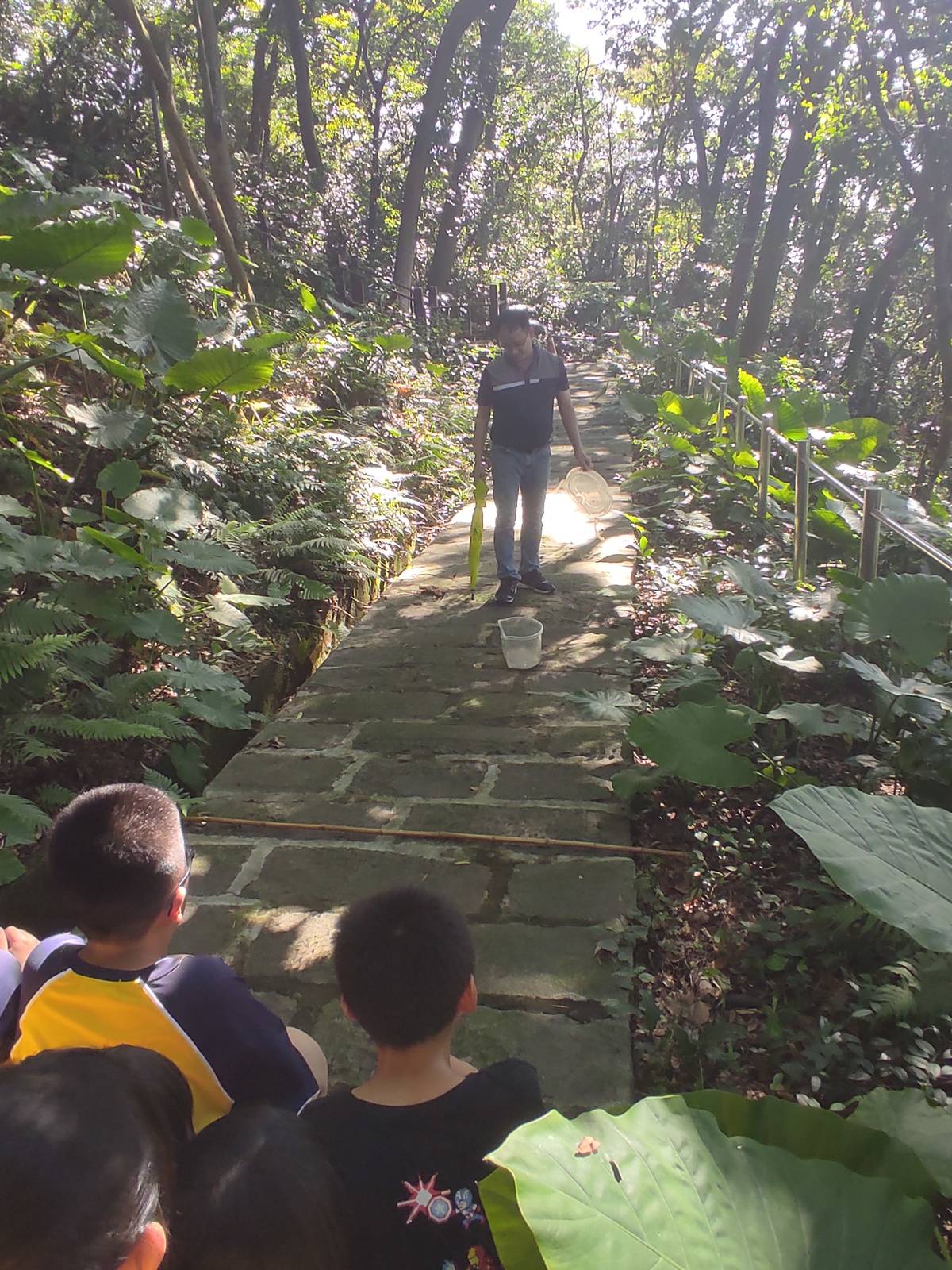 學生保持安全距離，看著小蛇回歸自然